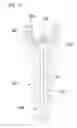 Fig. 14 - Biomolecule extraction device and biomolecule extraction method