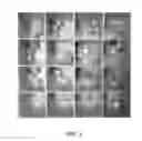 Fig. 03 - Method for design and control of properties of simulated food particles for process monitoring and validation of aseptically processed multiphase foods and biomaterials