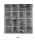 Fig. 04 - Method for design and control of properties of simulated food particles for process monitoring and validation of aseptically processed multiphase foods and biomaterials
