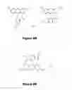 Fig. 06 - INSTANT VIEW OF PROTEIN BANDS