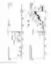 Fig. 05 - Ring shaped counter electrode to improve beam stability and compound sensitivity on a ceramic tile type microfluidic device