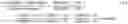 Fig. 02 - Detection and recovery of chemical elements from fluids with tectrabrachion