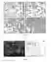 Fig. 19 - Method of detecting objects