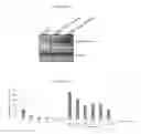Fig. 06 - Method of screening for candidate compounds for regulating melanogenesis or pigmentation