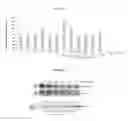 Fig. 07 - Method of screening for candidate compounds for regulating melanogenesis or pigmentation