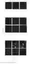 Fig. 12 - Method of screening for candidate compounds for regulating melanogenesis or pigmentation