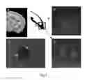 Fig. 08 - Neuronal cells cultured on microparticles and methods of using same