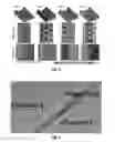 Fig. 09 - Synthetic microfluidic systems for hypoxia