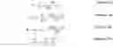 Fig. 02 - Method for determining agglutination