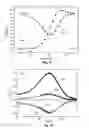 Fig. 05 - Biosensor based on measurements of the clustering dynamics of magnetic particles