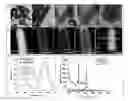 Fig. 01 - Nanocomposites, methods of making same, and applications of same for multicolor surface enhanced Raman spectroscopy (SERS) detections