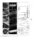 Fig. 05 - Nanocomposites, methods of making same, and applications of same for multicolor surface enhanced Raman spectroscopy (SERS) detections