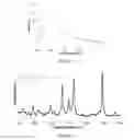 Fig. 09 - NOVEL GOLD NANOPARTICLE AGGREGATES AND THEIR APPLICATIONS