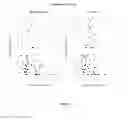 Fig. 04 - Mycobacterium antigens