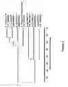Fig. 05 - Compositions and methods for the detection of 