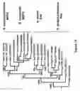 Fig. 13 - Compositions and methods for the detection of 