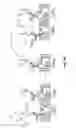 Fig. 09 - Selection of biological objects
