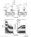 Fig. 14 - Selection of biological objects
