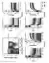 Fig. 21 - Selection of biological objects