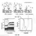 Fig. 22 - Selection of biological objects