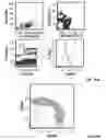 Fig. 24 - Selection of biological objects