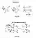 Fig. 30 - Selection of biological objects