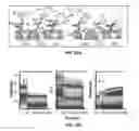 Fig. 31 - Selection of biological objects