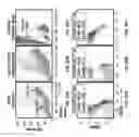 Fig. 34 - Selection of biological objects