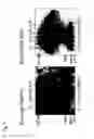 Fig. 13 - Mutated parvovirus structural proteins as vaccines