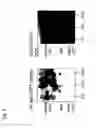 Fig. 15 - Mutated parvovirus structural proteins as vaccines