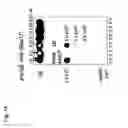Fig. 20 - Mutated parvovirus structural proteins as vaccines