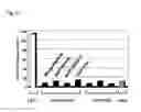 Fig. 36 - Mutated parvovirus structural proteins as vaccines