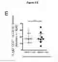 Fig. 07 - EBV PROTEINS AS MARKERS IN METHODS OF DIAGNOSING CHRONIC FATIGUE SYNDROME (CFS)