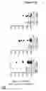 Fig. 11 - EBV PROTEINS AS MARKERS IN METHODS OF DIAGNOSING CHRONIC FATIGUE SYNDROME (CFS)