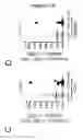 Fig. 12 - EBV PROTEINS AS MARKERS IN METHODS OF DIAGNOSING CHRONIC FATIGUE SYNDROME (CFS)