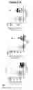 Fig. 15 - EBV PROTEINS AS MARKERS IN METHODS OF DIAGNOSING CHRONIC FATIGUE SYNDROME (CFS)
