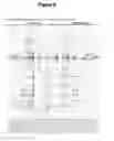 Fig. 22 - EBV PROTEINS AS MARKERS IN METHODS OF DIAGNOSING CHRONIC FATIGUE SYNDROME (CFS)