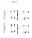 Fig. 42 - EBV PROTEINS AS MARKERS IN METHODS OF DIAGNOSING CHRONIC FATIGUE SYNDROME (CFS)
