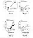Fig. 06 - BIOMARKERS FOR PREDICTING THE SENSITIVITY OF CELLS TO IMMUNOMODULATORY COMPOUNDS DURING TREATMENT OF NON-HODGKIN'S LYMPHOMA