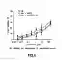 Fig. 10 - BIOMARKERS FOR PREDICTING THE SENSITIVITY OF CELLS TO IMMUNOMODULATORY COMPOUNDS DURING TREATMENT OF NON-HODGKIN'S LYMPHOMA