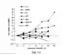 Fig. 13 - BIOMARKERS FOR PREDICTING THE SENSITIVITY OF CELLS TO IMMUNOMODULATORY COMPOUNDS DURING TREATMENT OF NON-HODGKIN'S LYMPHOMA