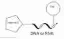 Fig. 01 - Drug target capturing method