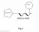 Fig. 02 - Drug target capturing method