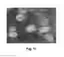 Fig. 12 - Drug target capturing method