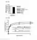 Fig. 09 - Method for determining depression, kit for analyzing serotonin transporter, and kit for analyzing ubiquitinated serotonin transporter in blood