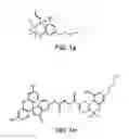 Fig. 02 - MICROFLUIDIC DEVICE TO DETECT CANNABIS IN BODY FLUIDS