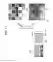 Fig. 12 - Static electricity distribution measuring apparatus and static electricity distribution measuring method
