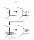 Fig. 03 - Magnetic resonance imaging method canceling artifacts and undesired signals