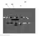 Fig. 01 - Optoelectronic sensor