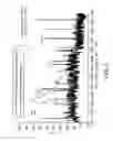 Fig. 03 - Speed Bump Bomb Detector for Bombs in Vehicles